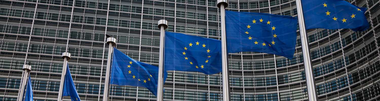 EU Flags