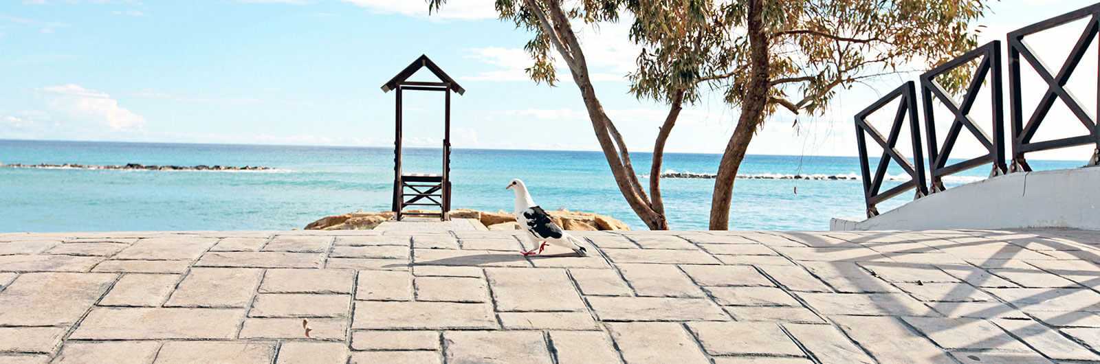 Cyprus
