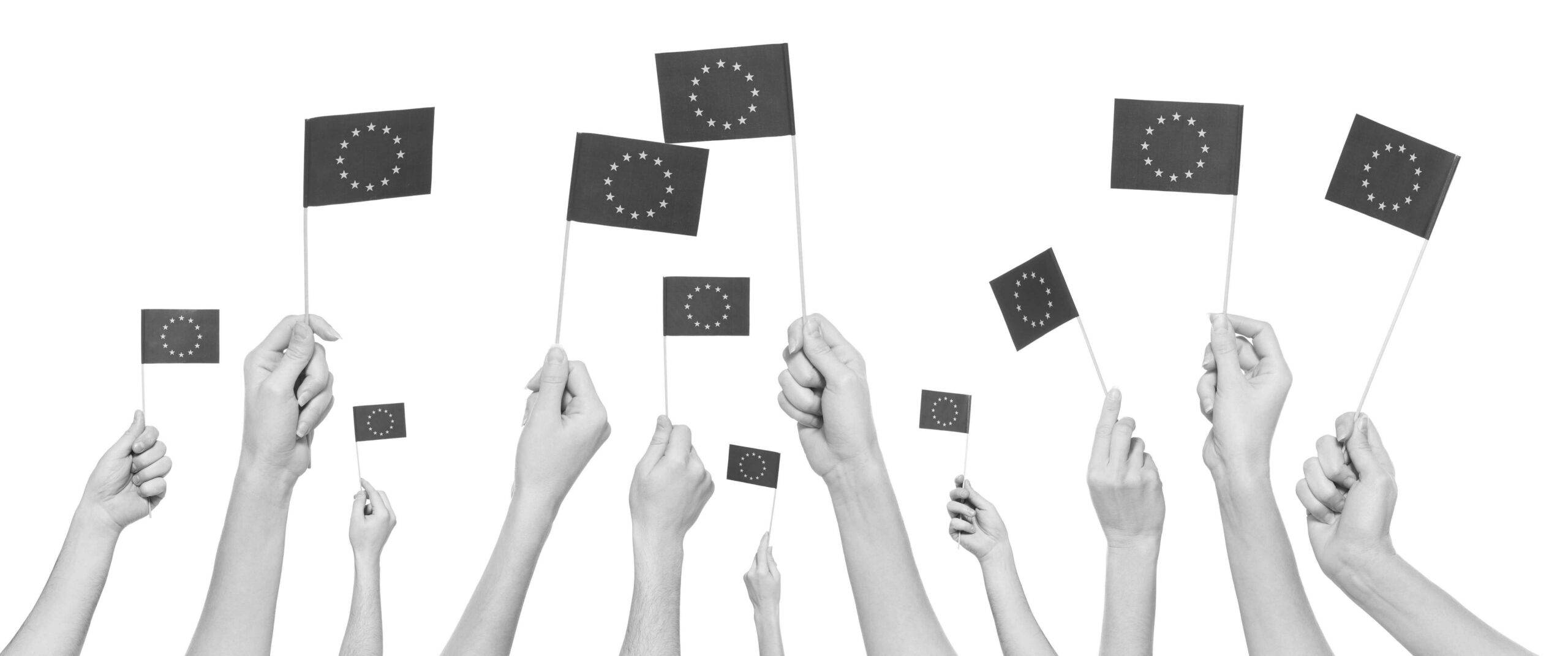 EU Flag