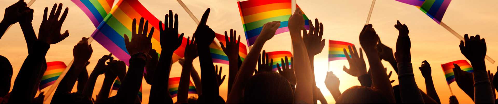 LGBT Banner