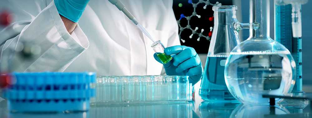 Working in Lab